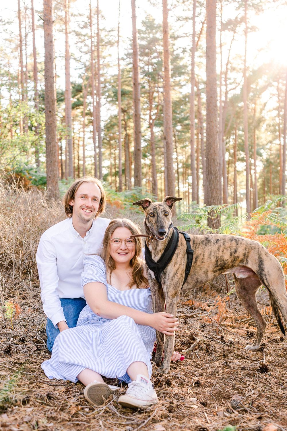 A couple sits in a wooded area with their dog during a golden sunset photo session.