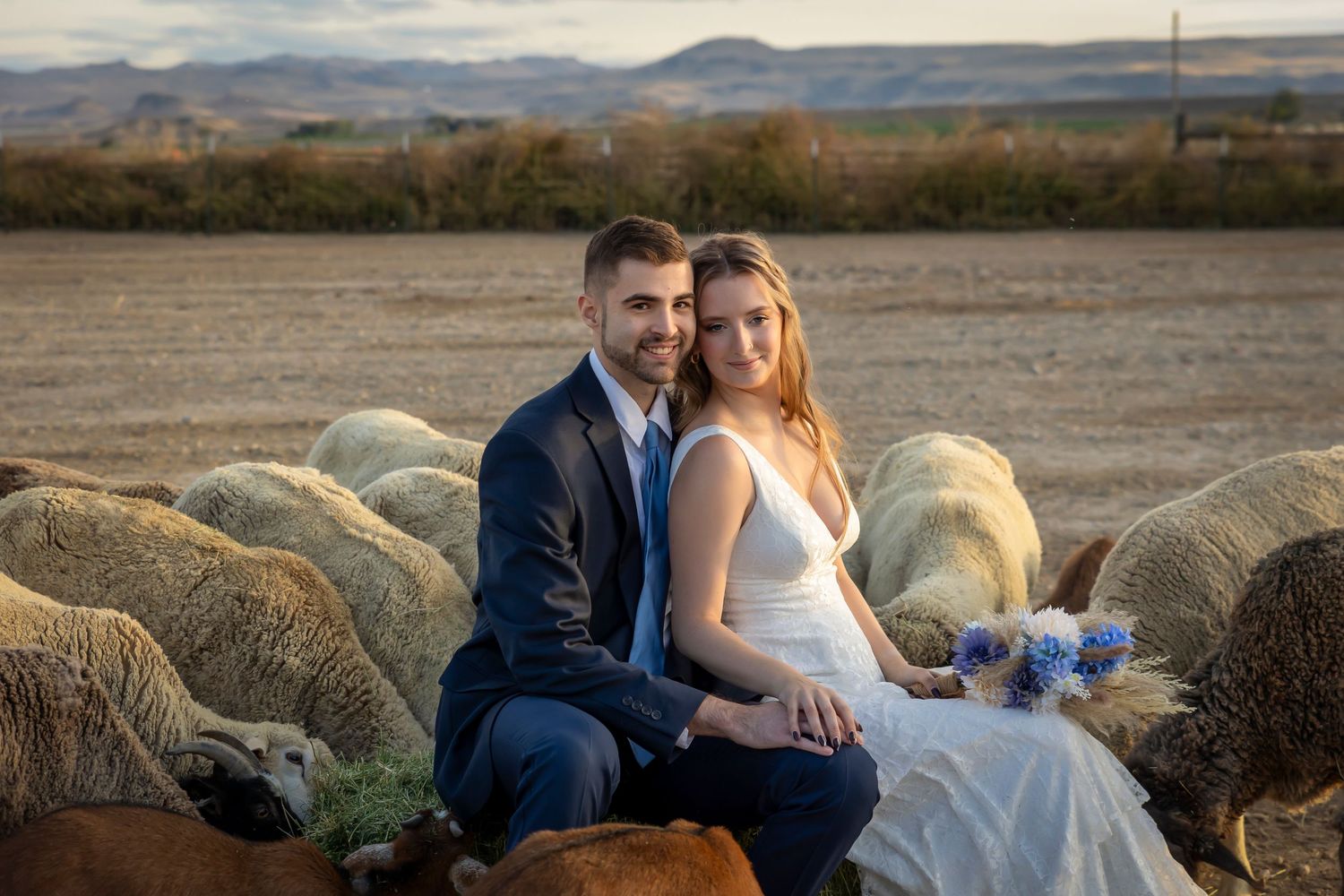 bride and groom couples photo with livestock and mountains