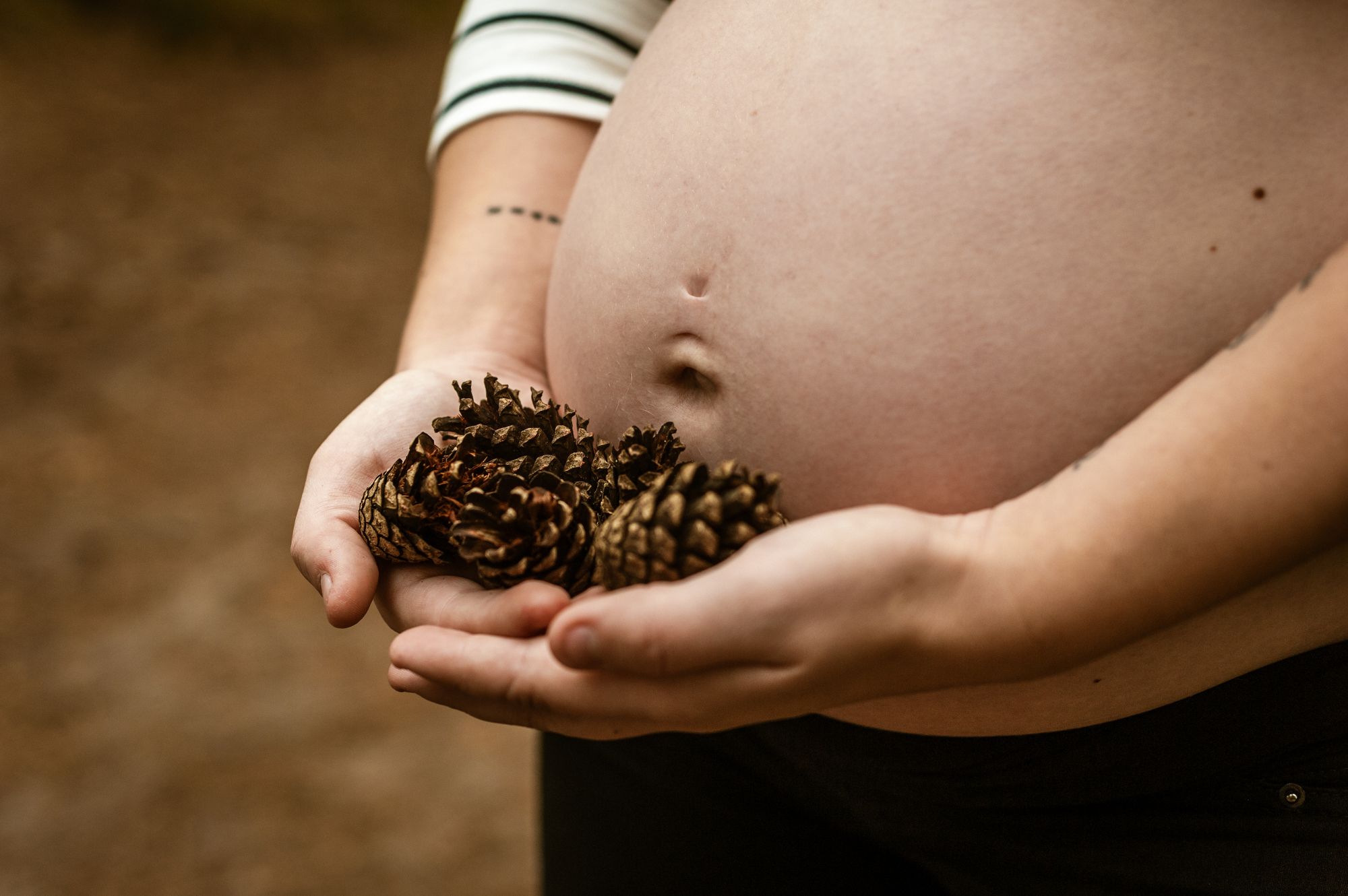 Detail van een zwangere buik met dennenappels in de handen, een warm en symbolisch moment in de natuur, gefotografeerd in de Rupelstreek.