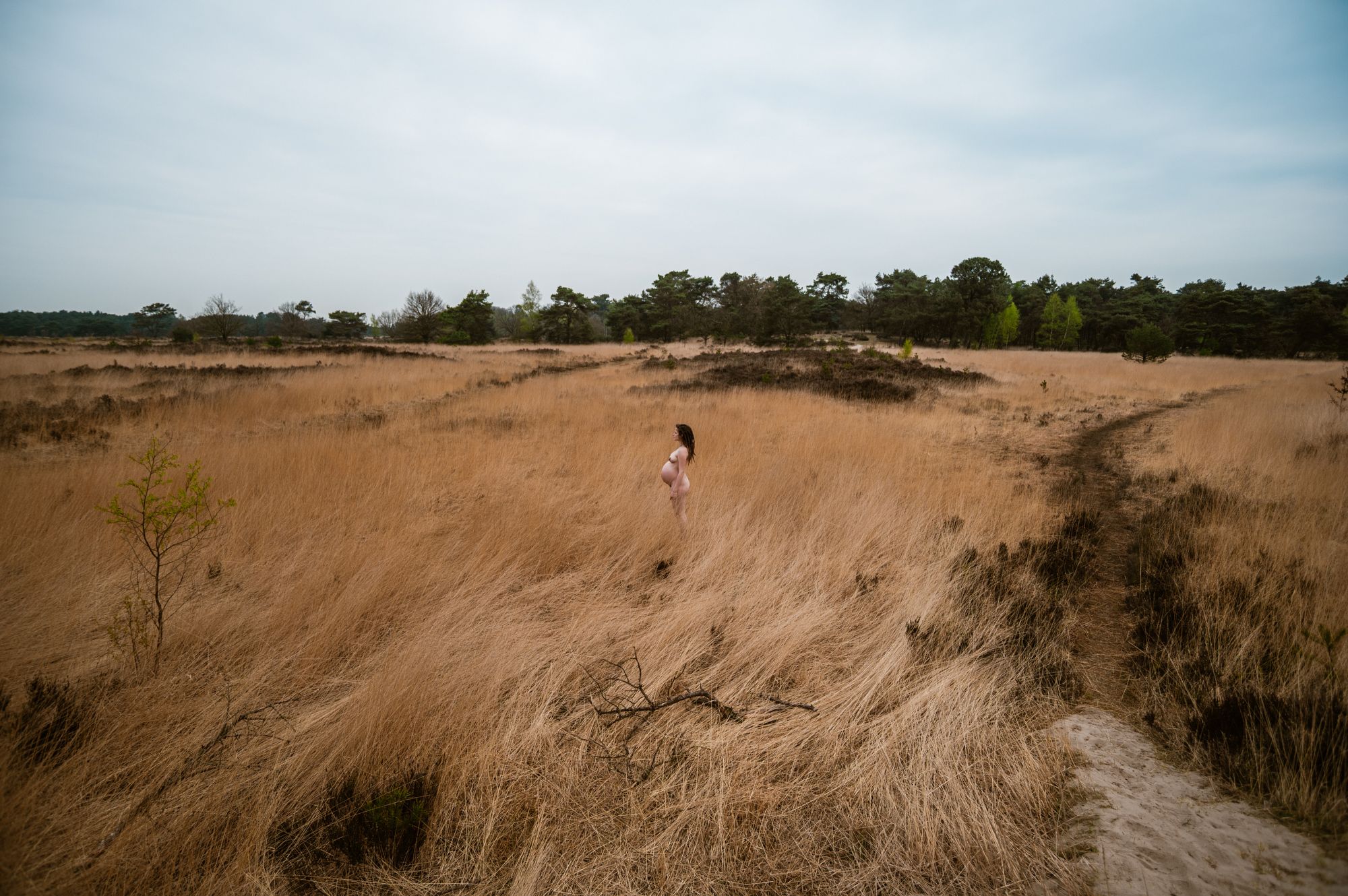 Breed natuurportret van een zwangere vrouw in hoog gras met zachte kleuren en rust, professioneel gefotografeerd in de regio Antwerpen.