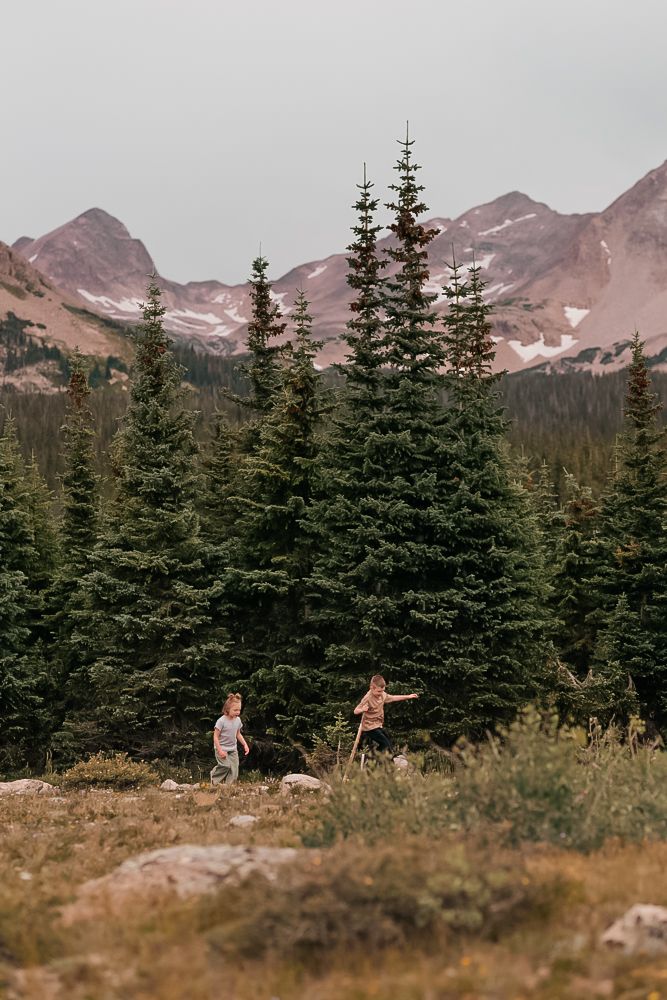 Two people stand among evergreen trees with majestic mountain peaks in the background on a cloudy day.