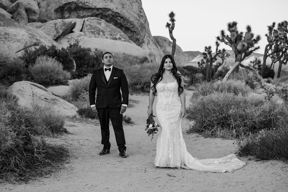 Black and white wedding portrait in a desert landscape with dramatic rock formations.