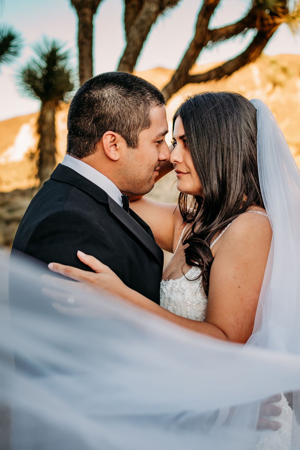 Romantic wedding couple embraces during sunset with flowing veil in soft focus.