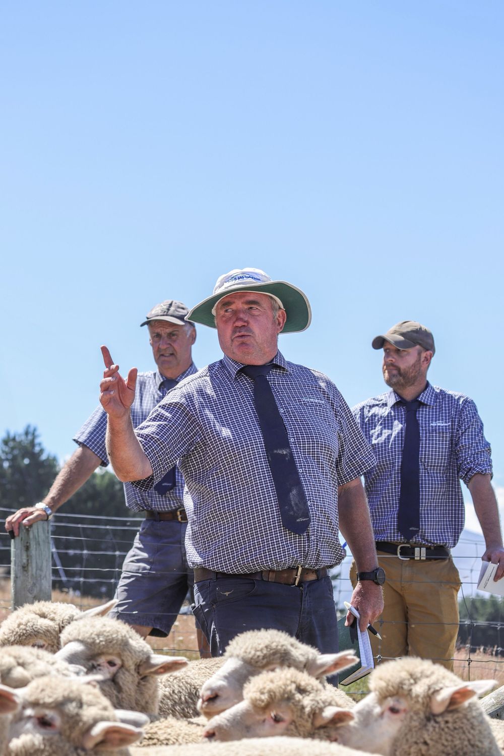 pgg-livestock-hazlett-livestock-auctioneers-ashburton-gorge-lamb-sale-2025-whisky-creek.jpg