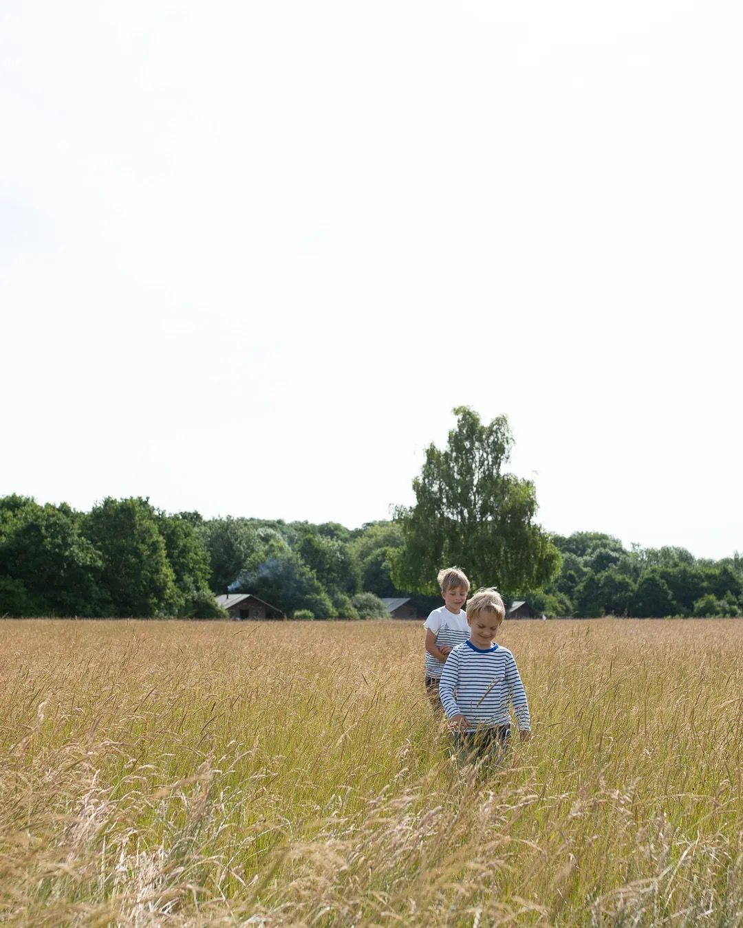 Young children walking through a sunny meadow surrounded by tall grass and trees.
