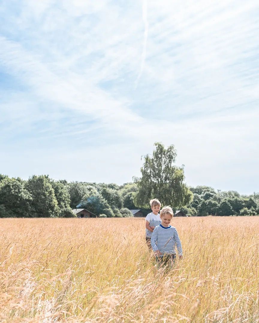 Child walking through tall golden grass on a sunny day with blue sky and countryside landscape behind.