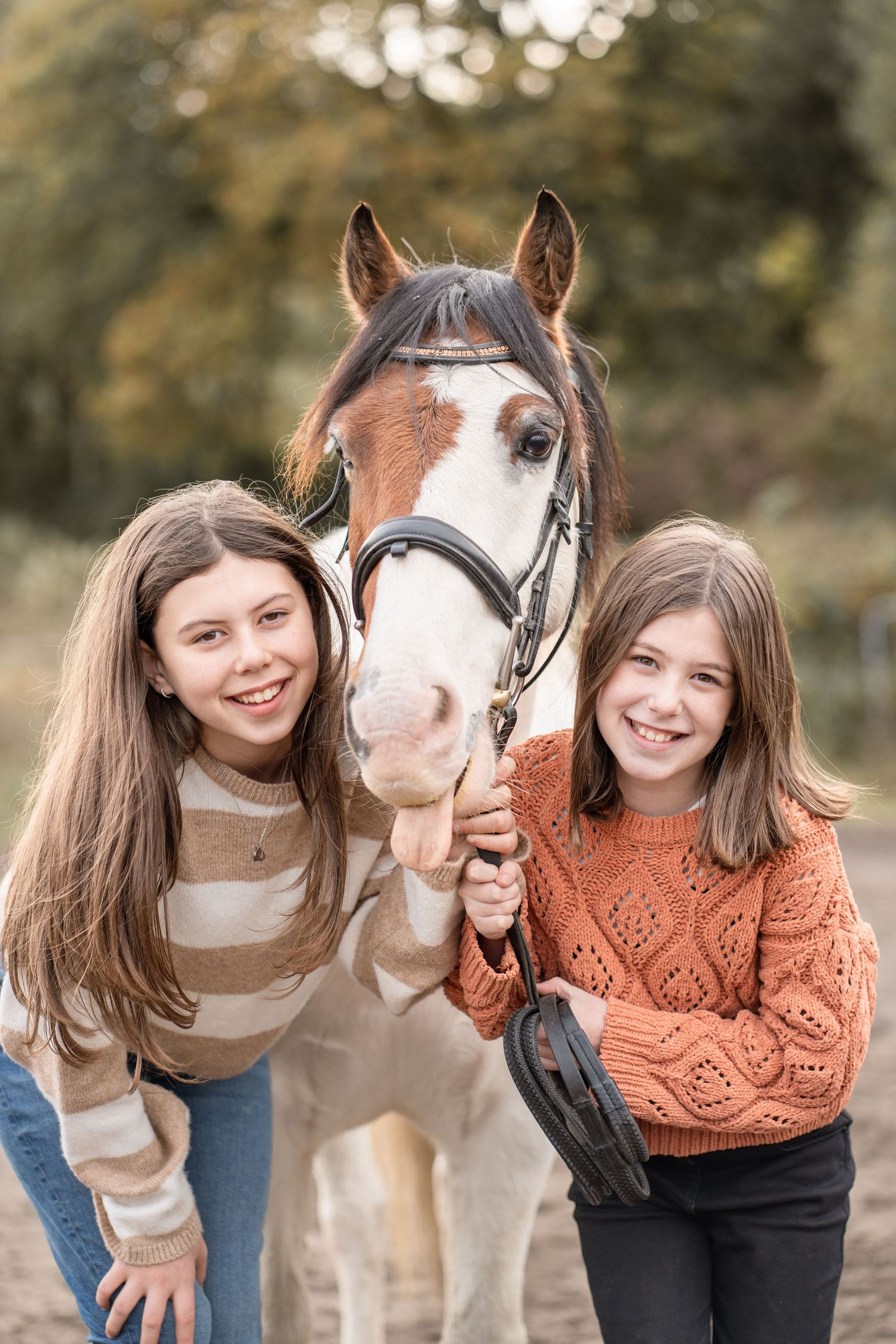 A white horse and companion share a series of playful moments outdoors in a natural setting.