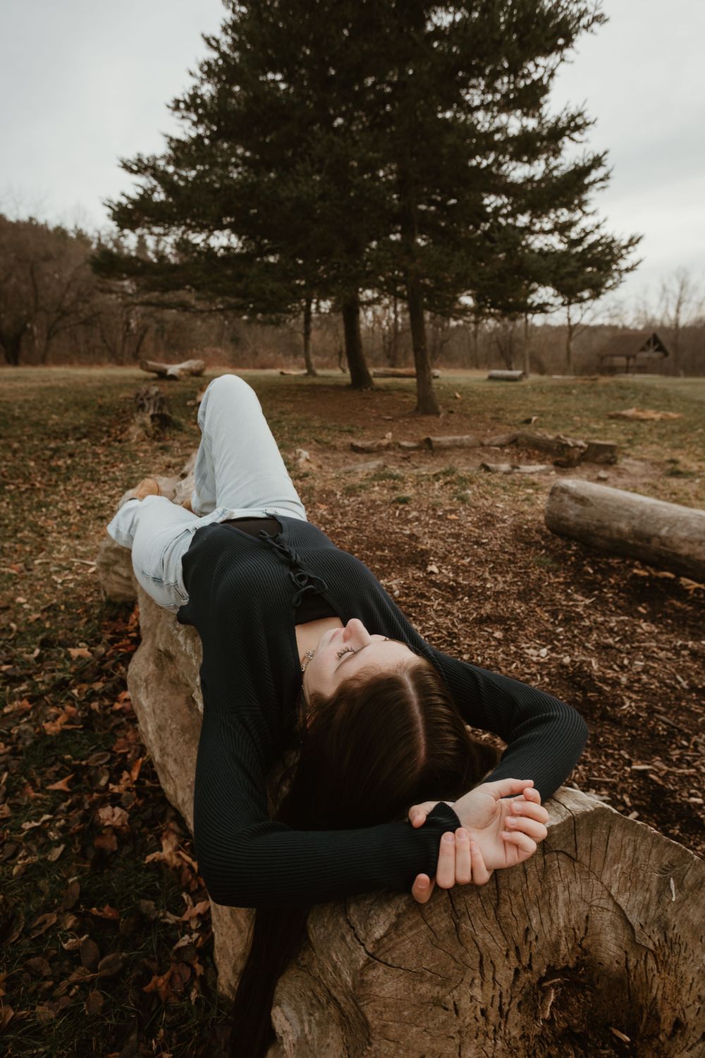 Someone relaxes on a fallen log in a moody autumn forest setting with pine trees in the background.
