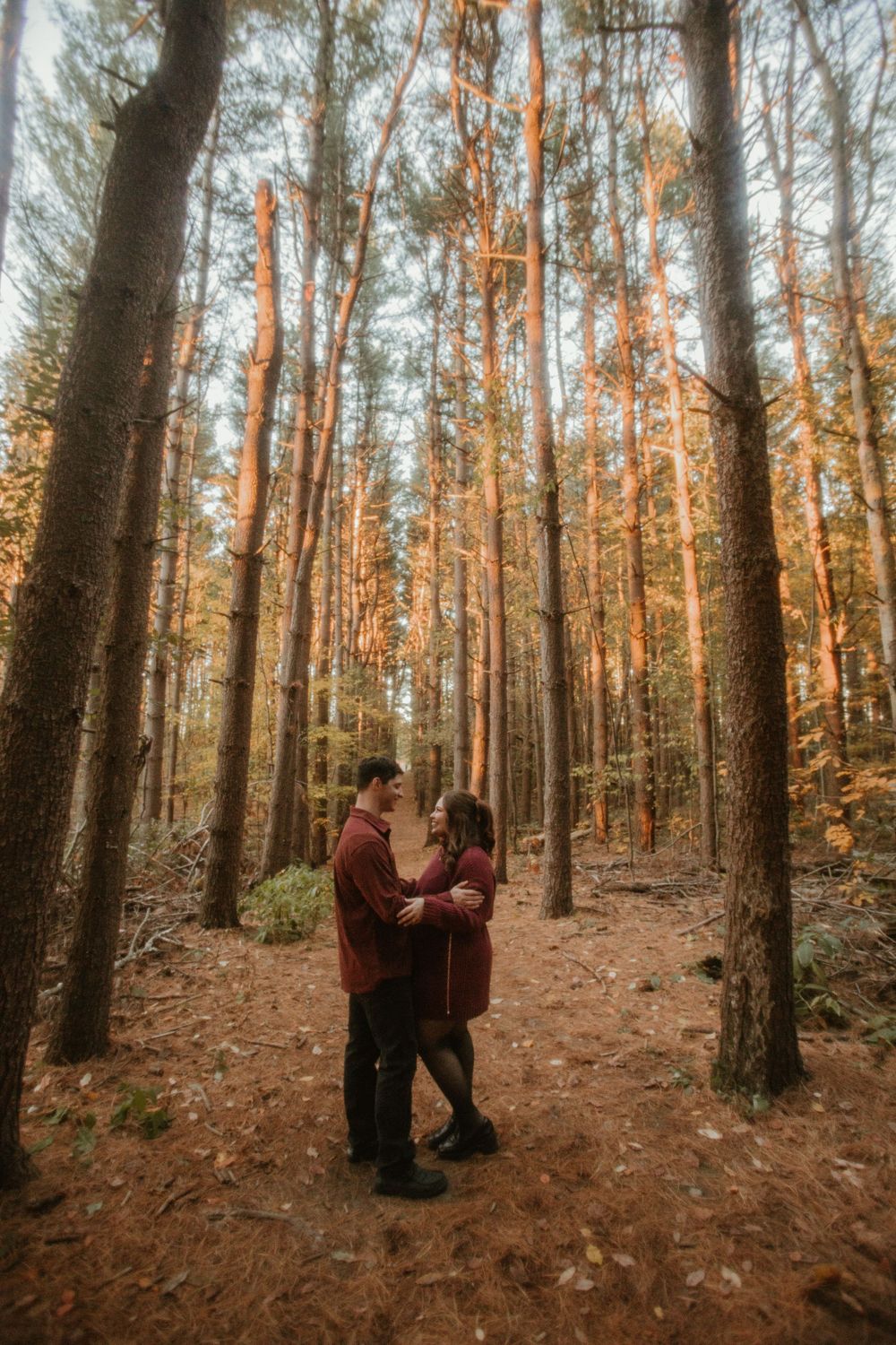 Couple sharing an intimate moment in an autumn forest with tall pine trees and fallen leaves.