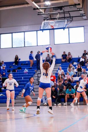 Wide angle view of volleyball players diving and jumping during an intense indoor match.