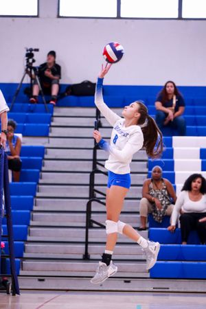 Volleyball players execute diving saves and leaping moves to keep the ball in play during a match.
