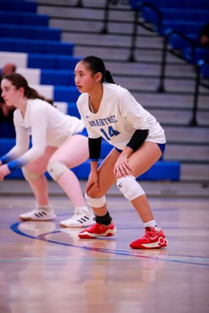Close-up view of volleyball players' feet and legs in defensive ready positions on the court.