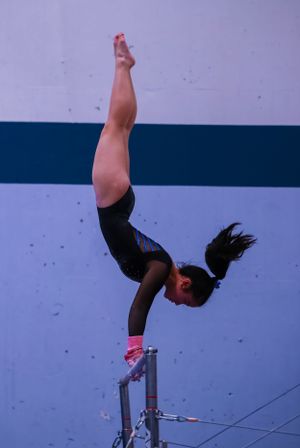 Gymnast performing a handstand on parallel bars during competition routine.