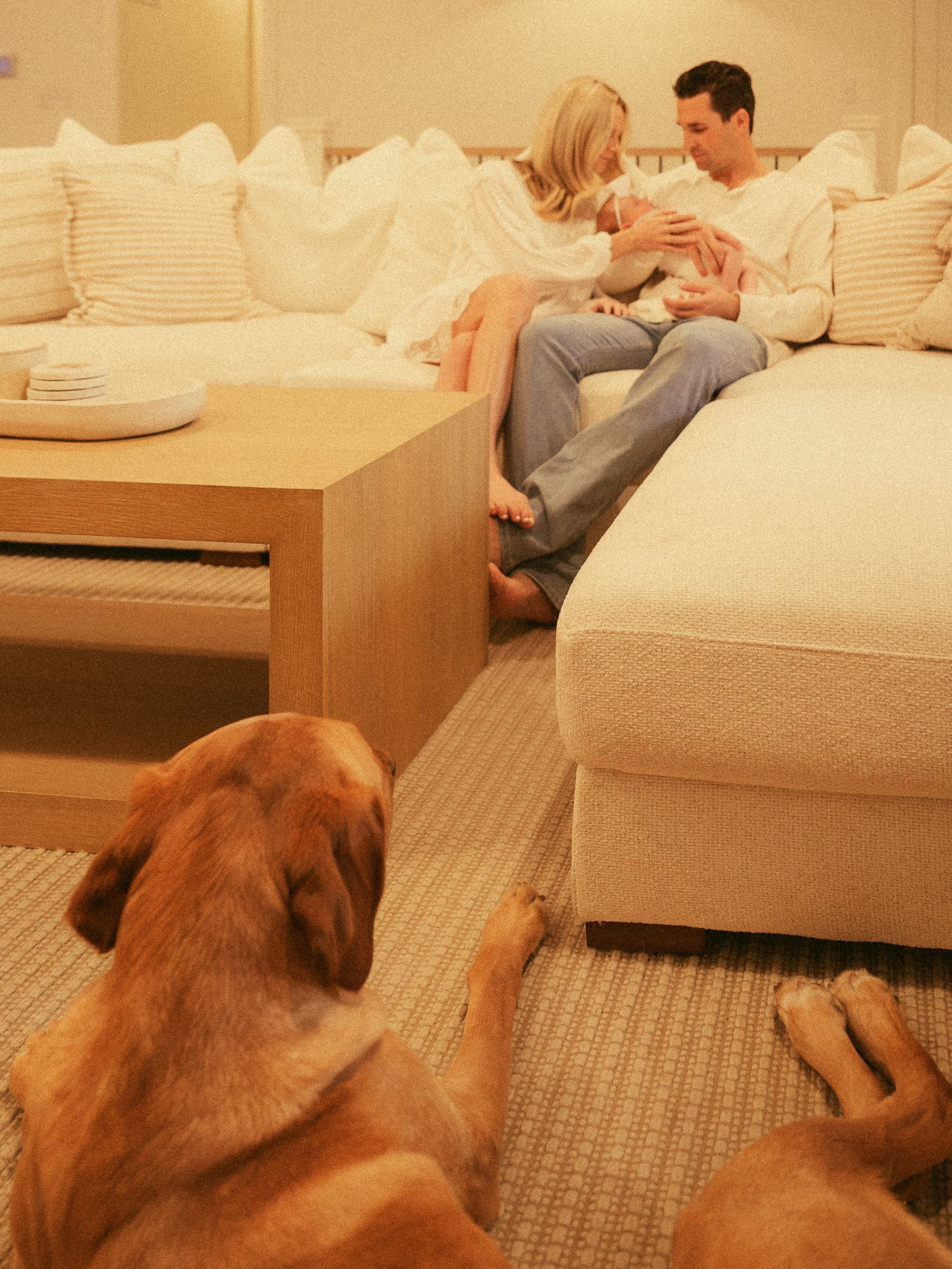 A couple sits on a white sofa holding a newborn baby while a golden retriever rests on the floor.