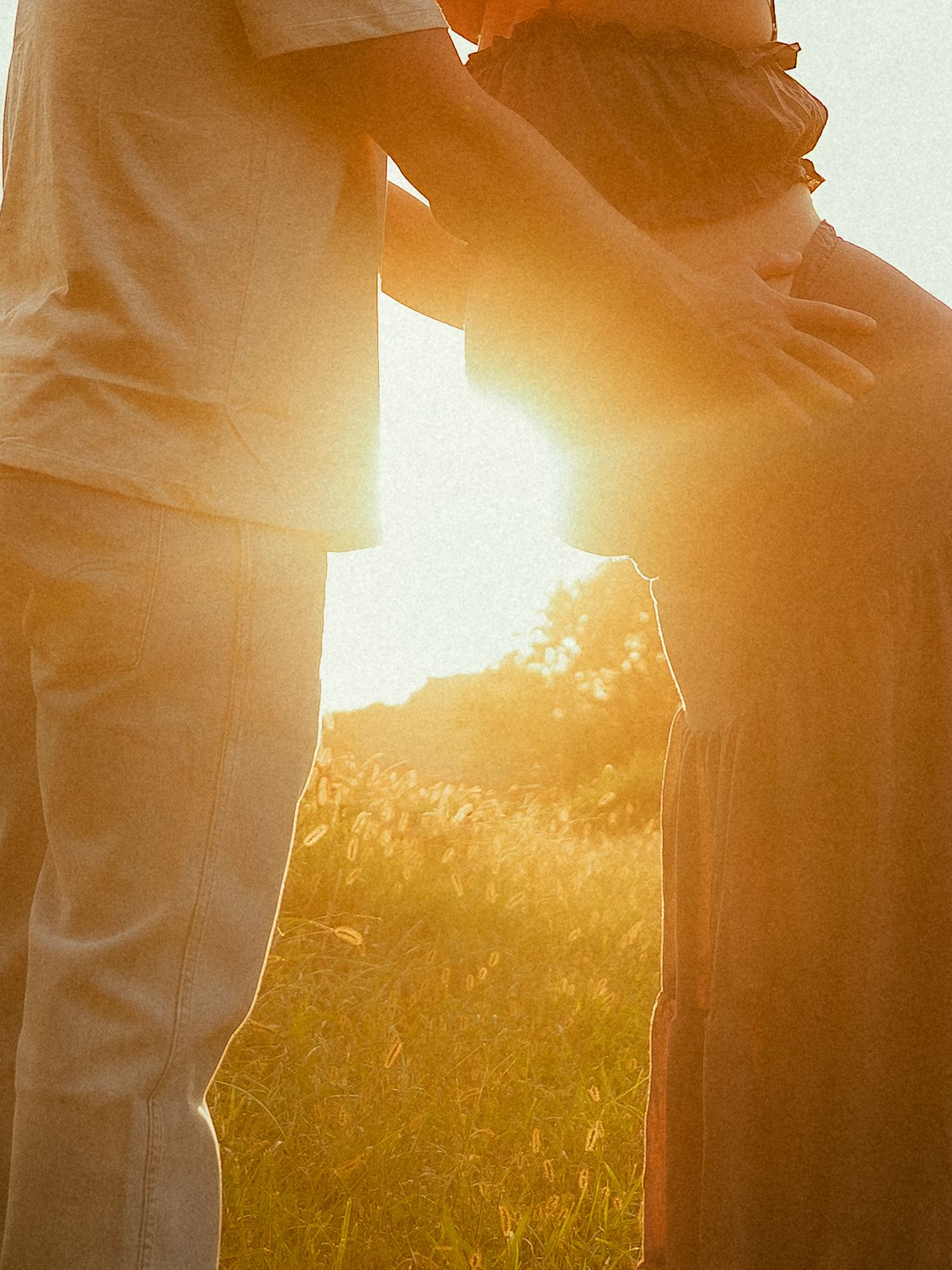 A couple embraces in a golden sunset field, backlit by warm sunlight glowing through tall grass.