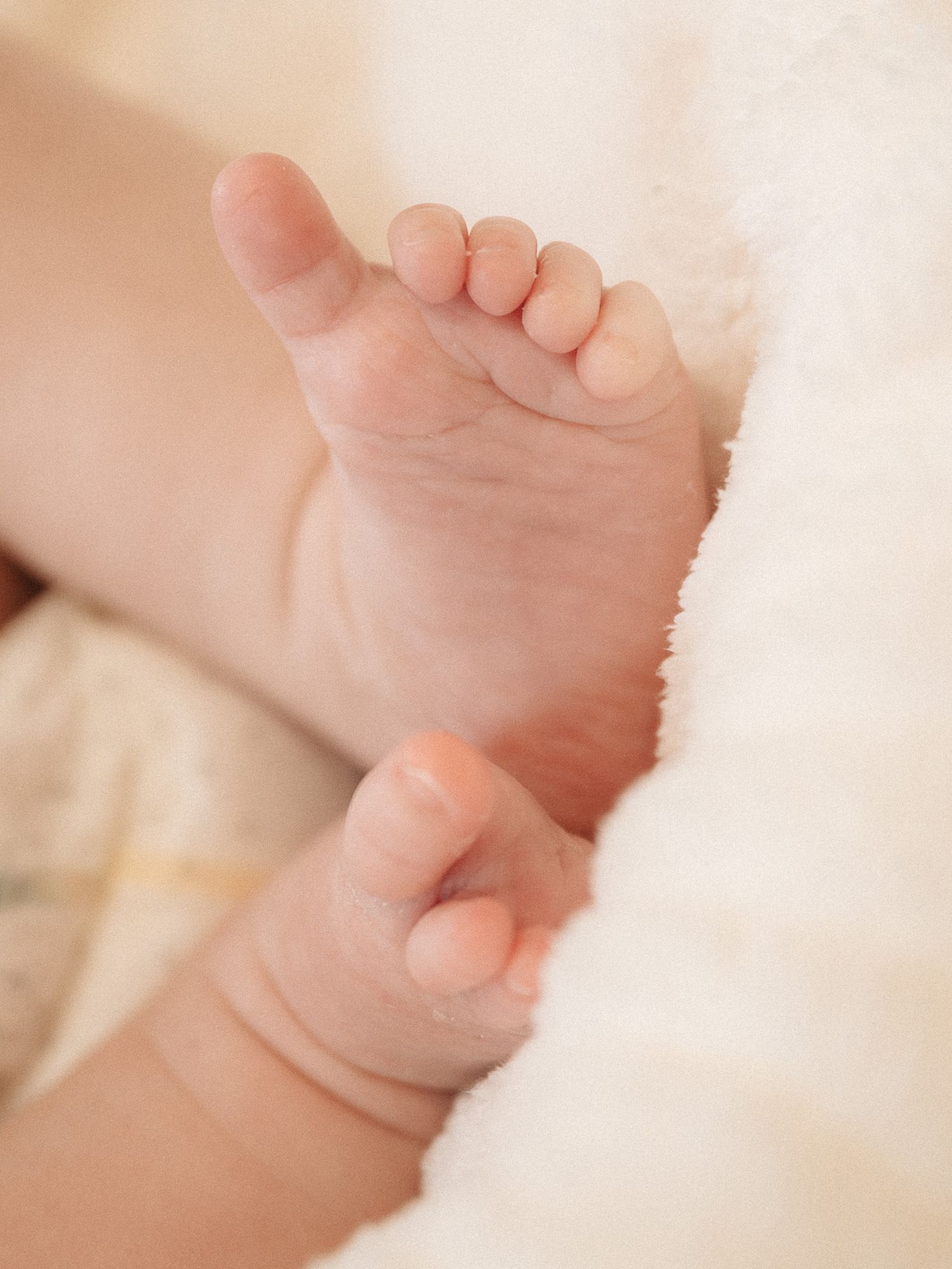Delicate newborn baby feet photographed against a light cream background.