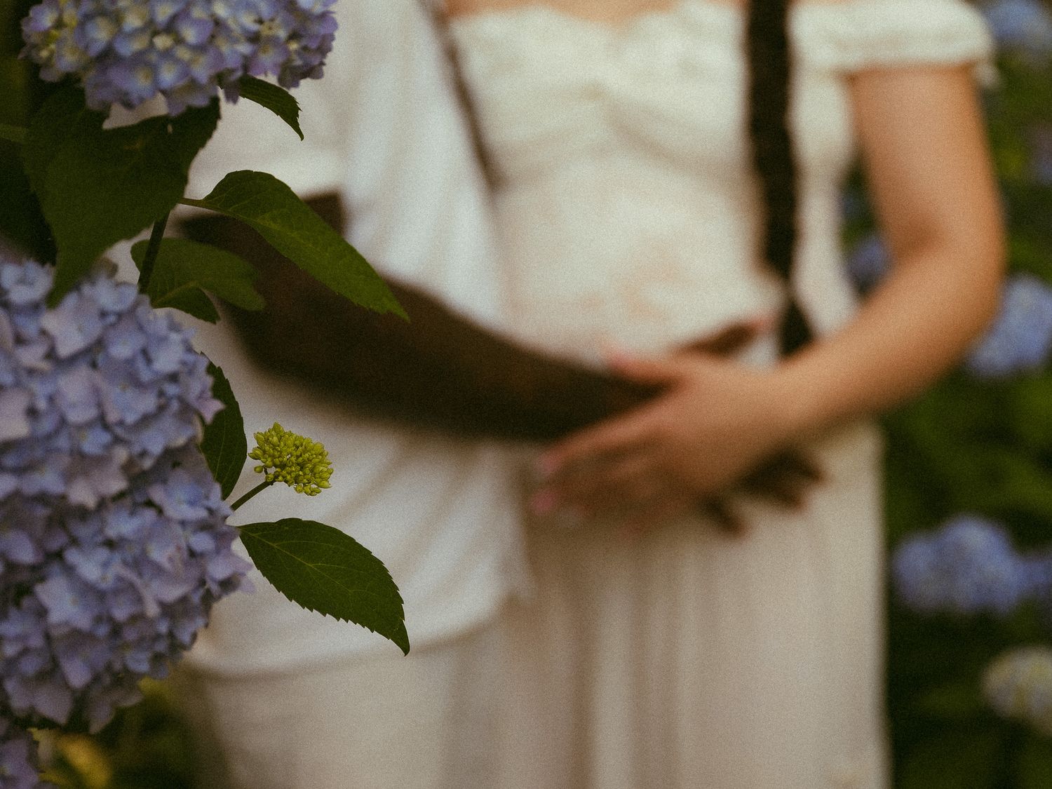 Pregnant woman in white dress standing among blooming blue hydrangeas in a lush garden setting.