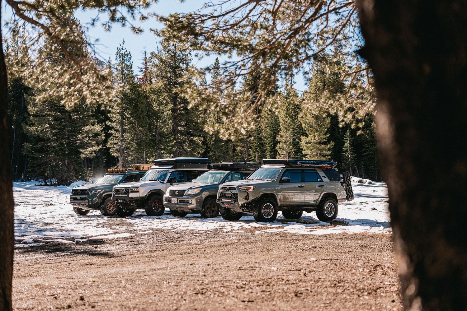 A snowy parking lot surrounded by evergreen trees with multiple cars parked in a row on a winter day.