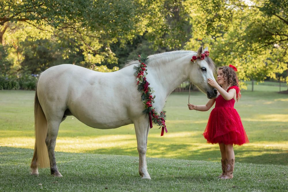 White horse decorated with red flowers poses in sunny garden setting.
