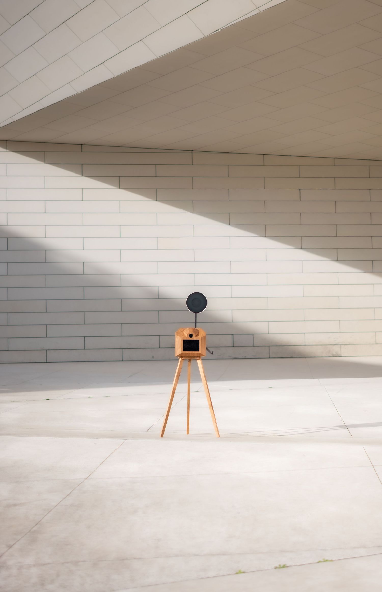 Minimalist art installation showing a black circular shape on wooden easel casting dramatic shadows on white walls.