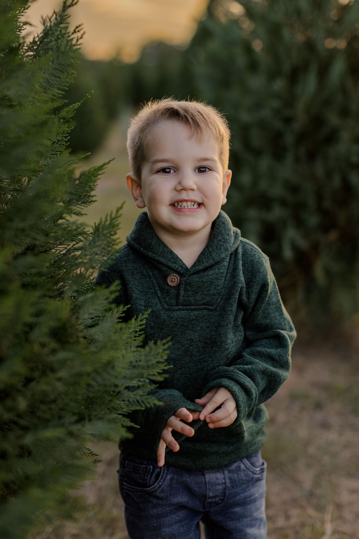 A child wearing a dark green sweater and jeans stands among evergreen trees during a golden hour photo session.