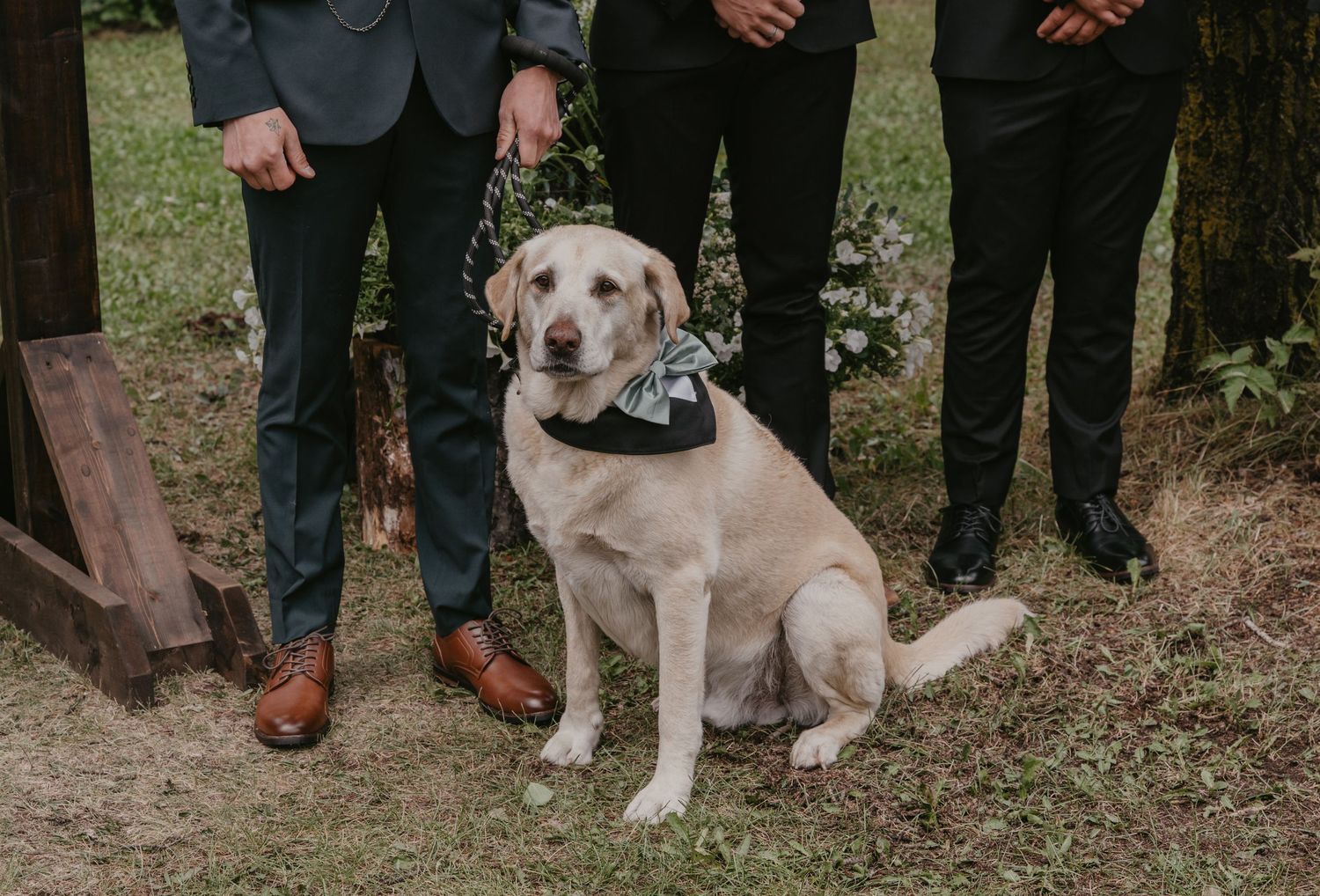 Wedding party group photo featuring a friendly yellow Labrador dog.