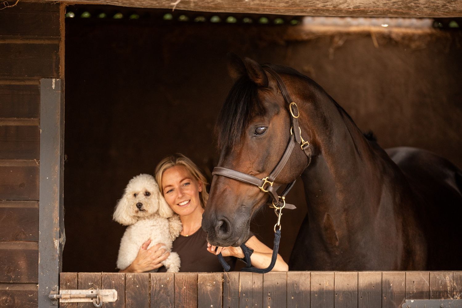 A horse and its rider enjoy an outdoor photoshoot session near rustic wooden fencing on a sunny day.