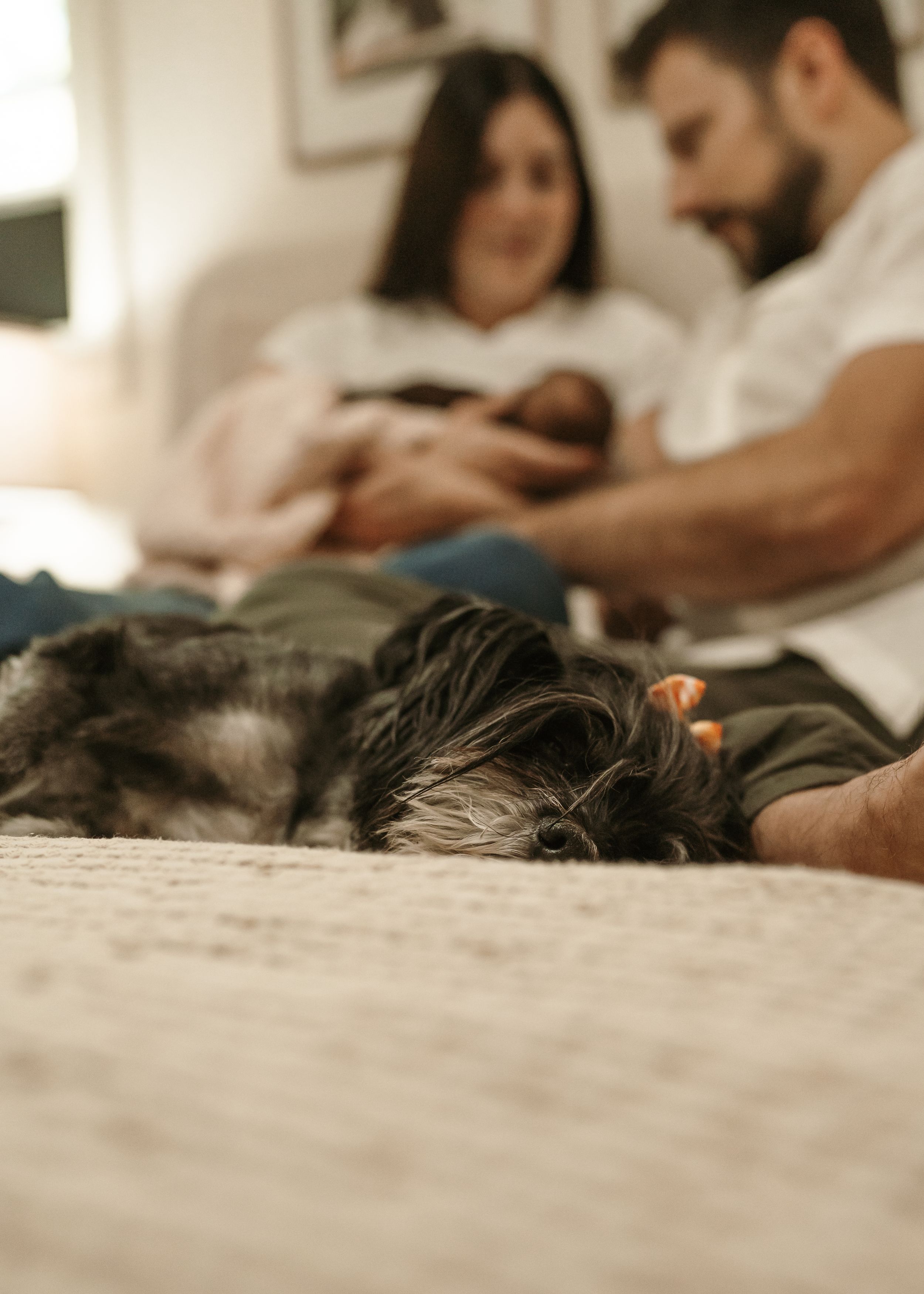 Parents  relax with a newborn on a bed during newborn session in Arlington Heights