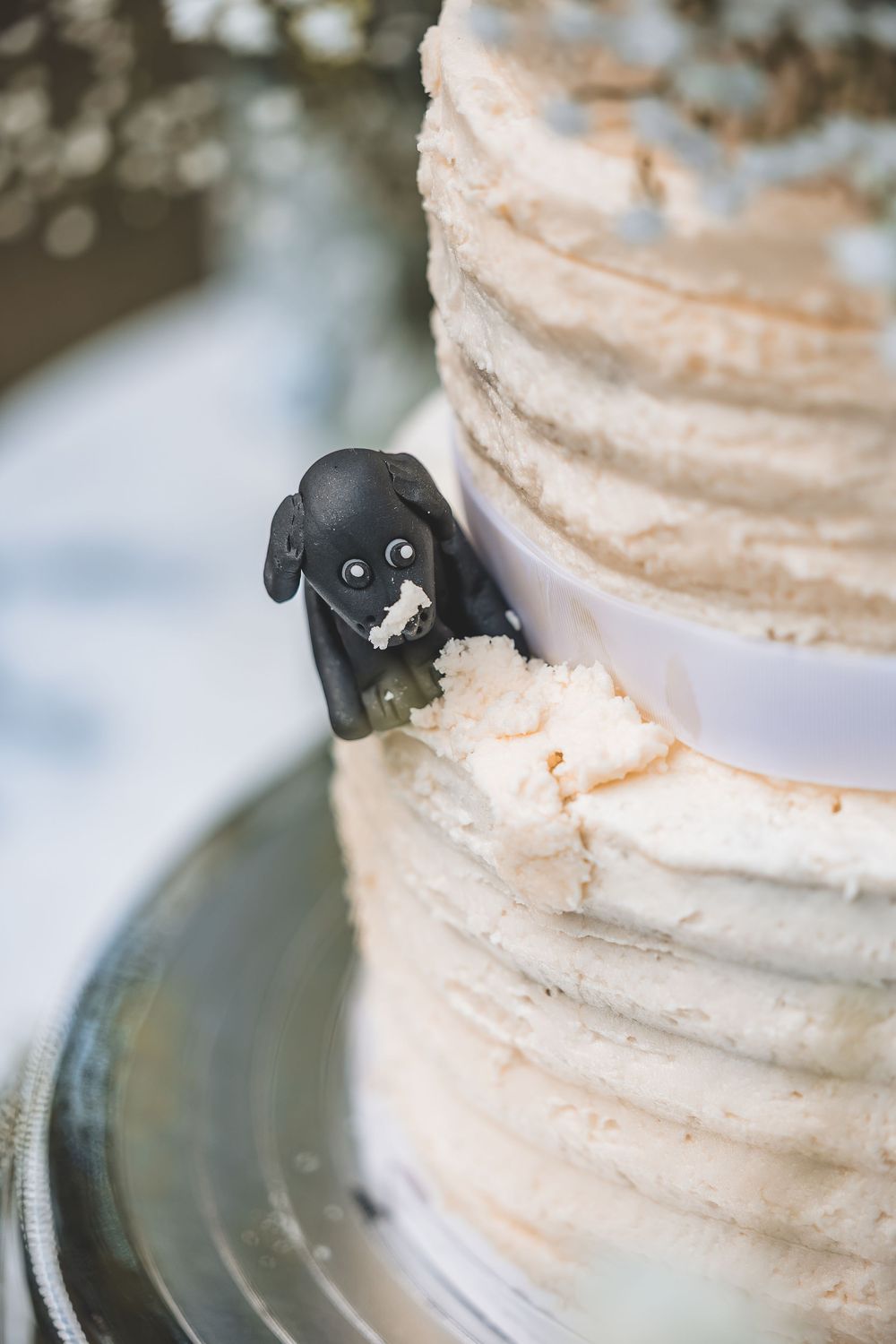 Natural wedding photo of a wedding couples cake with their dog moulded into the cake to share their day.