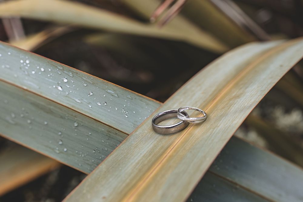 Documentary wedding photo capturing a couples wedding rings arranged nicely to capture the greenery.