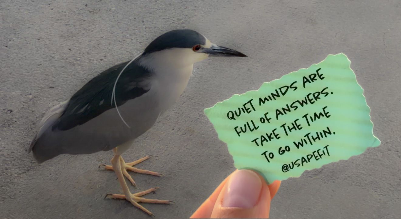 A seagull walks past a small green sticky note with handwritten text on a concrete surface.