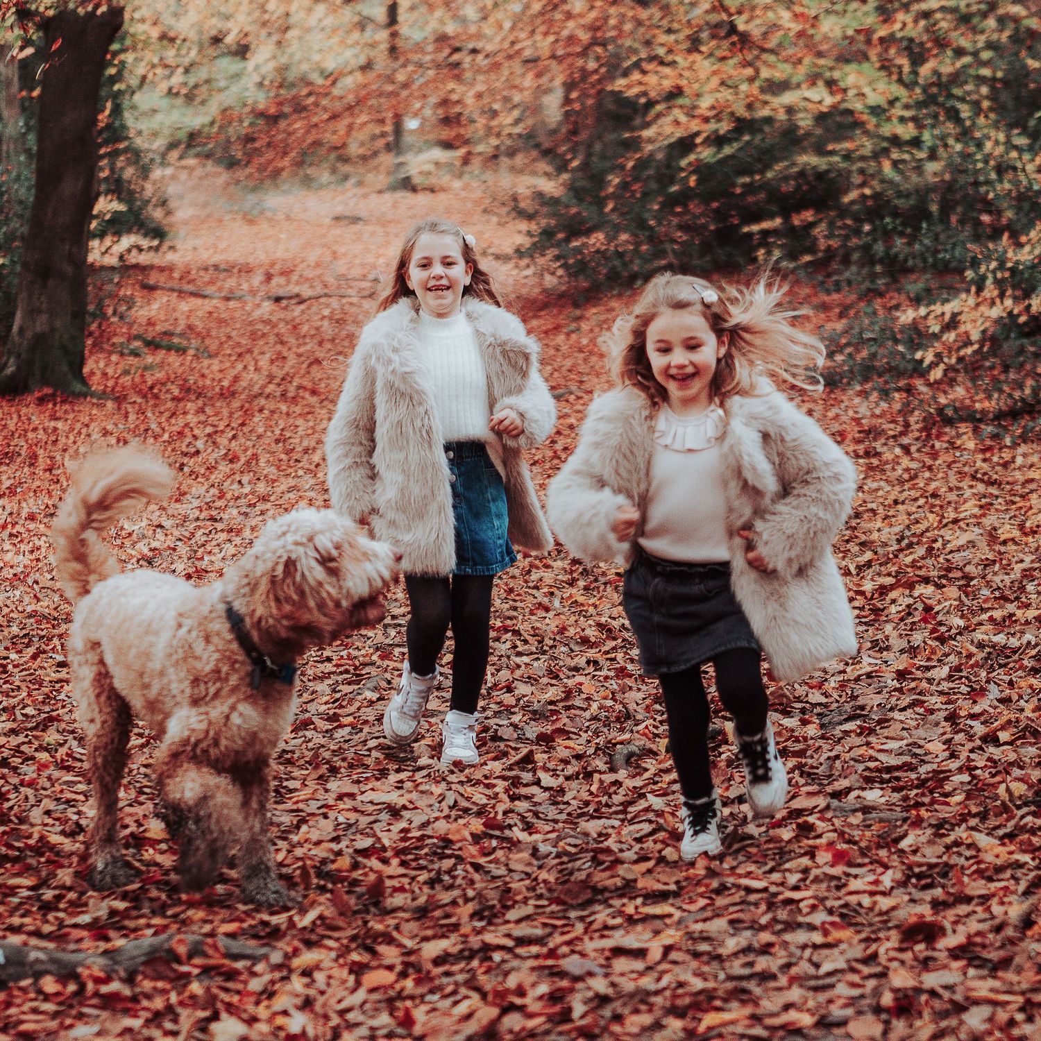 Two young girls running through an Autumn wood with their dog.