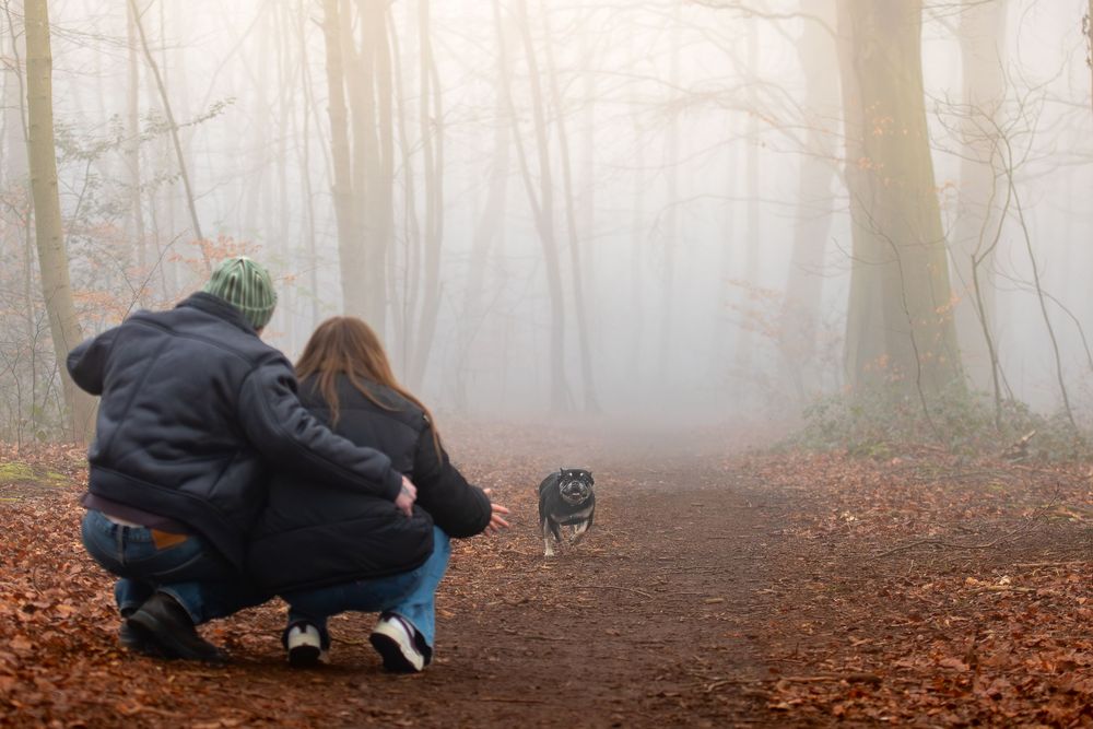 Couple crouching on a foggy forest path with autumn leaves, watching a small dog explore the misty woods.