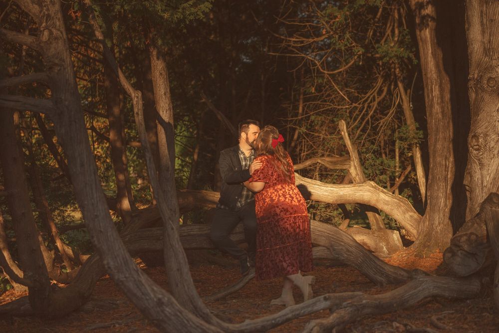 Trees lit by warm sunset light creating a romantic outdoor wedding atmosphere.