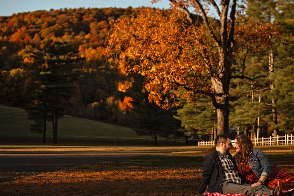 Autumn trees with vibrant orange foliage frame an outdoor scene.