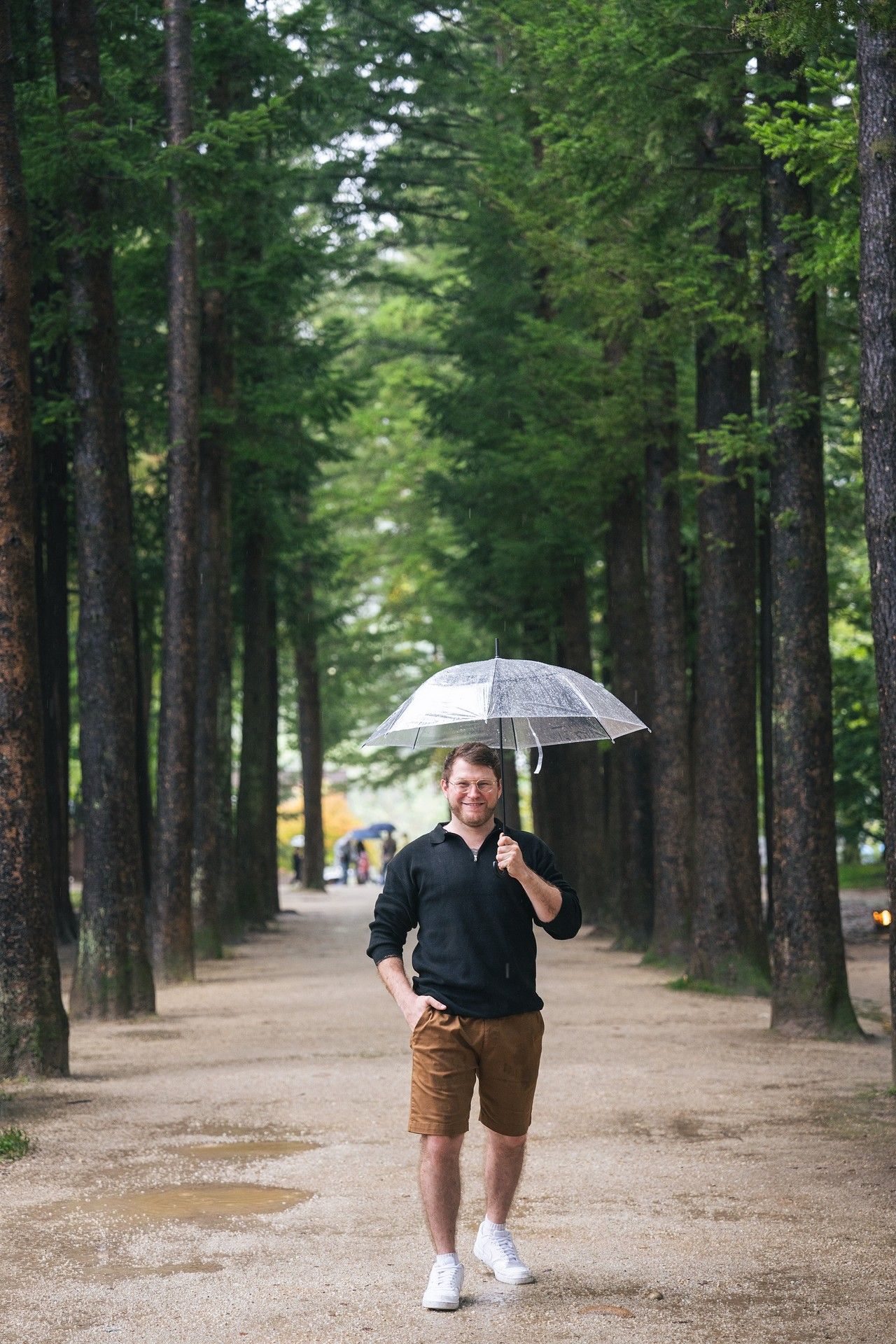 Person with umbrella walks along scenic tree-lined path on rainy day.