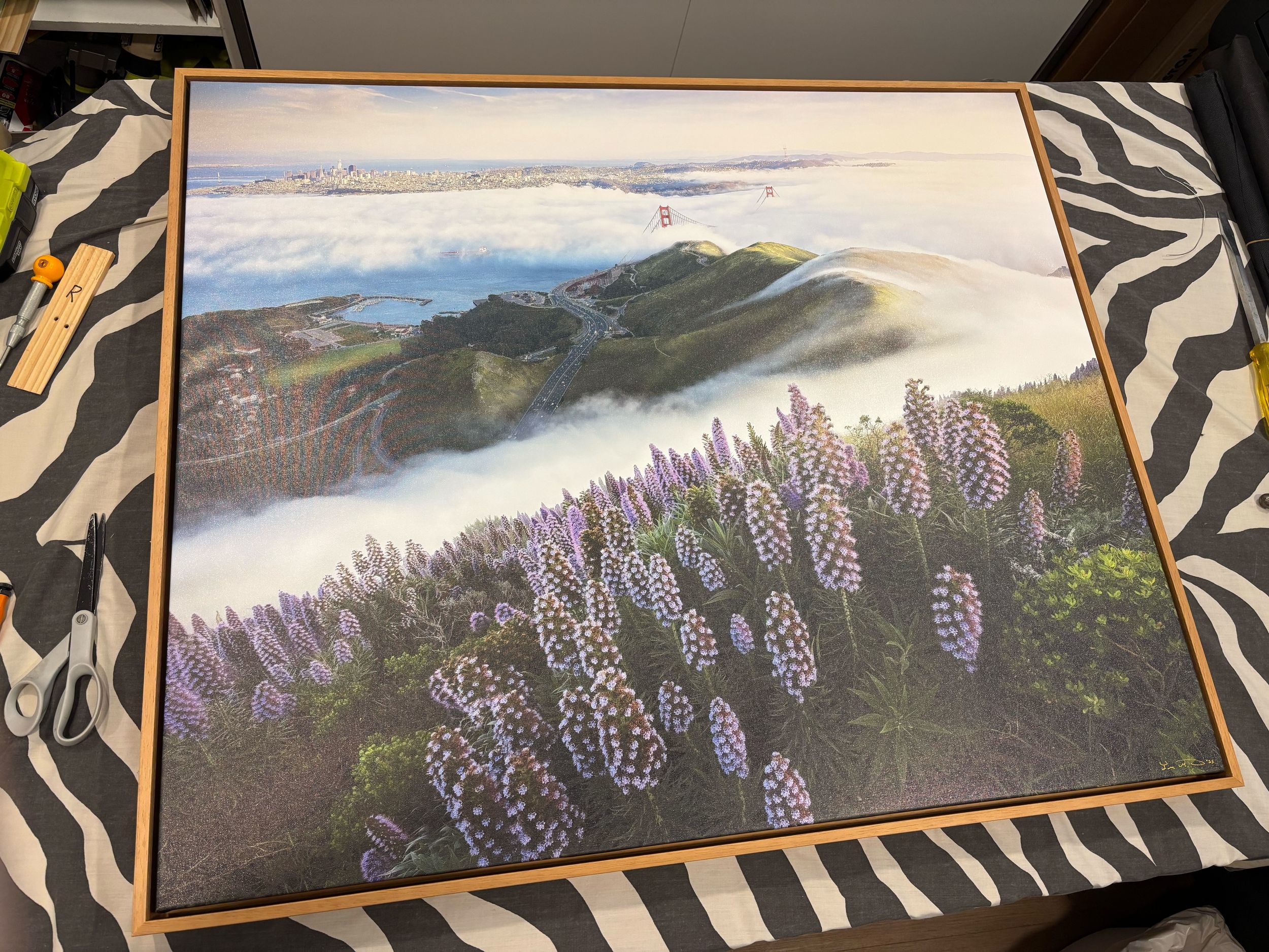 Purple lupine wildflowers bloom along a hillside trail with mountains and ocean views in the background at sunset.