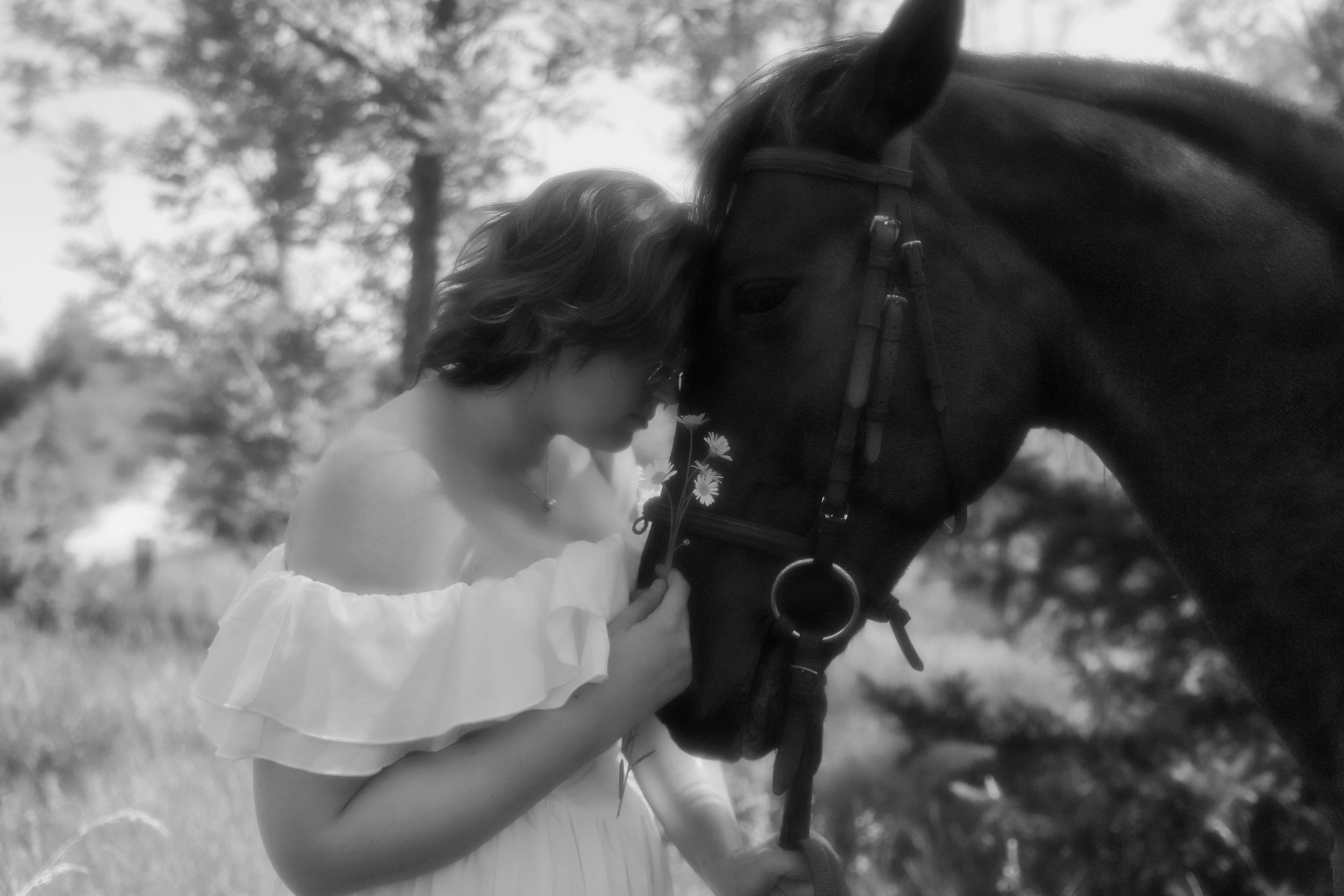 sesion de fotos con caballo, personal in hipica, vitoria gasteiz, bolbao, donostia, san sebastian, alava, bizkaya, BOAfoto
