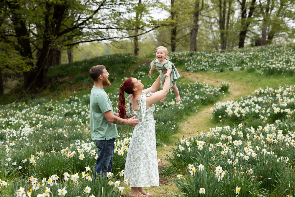 People walking through a beautiful spring garden filled with blooming white daffodils and green trees. Spring Mini Session