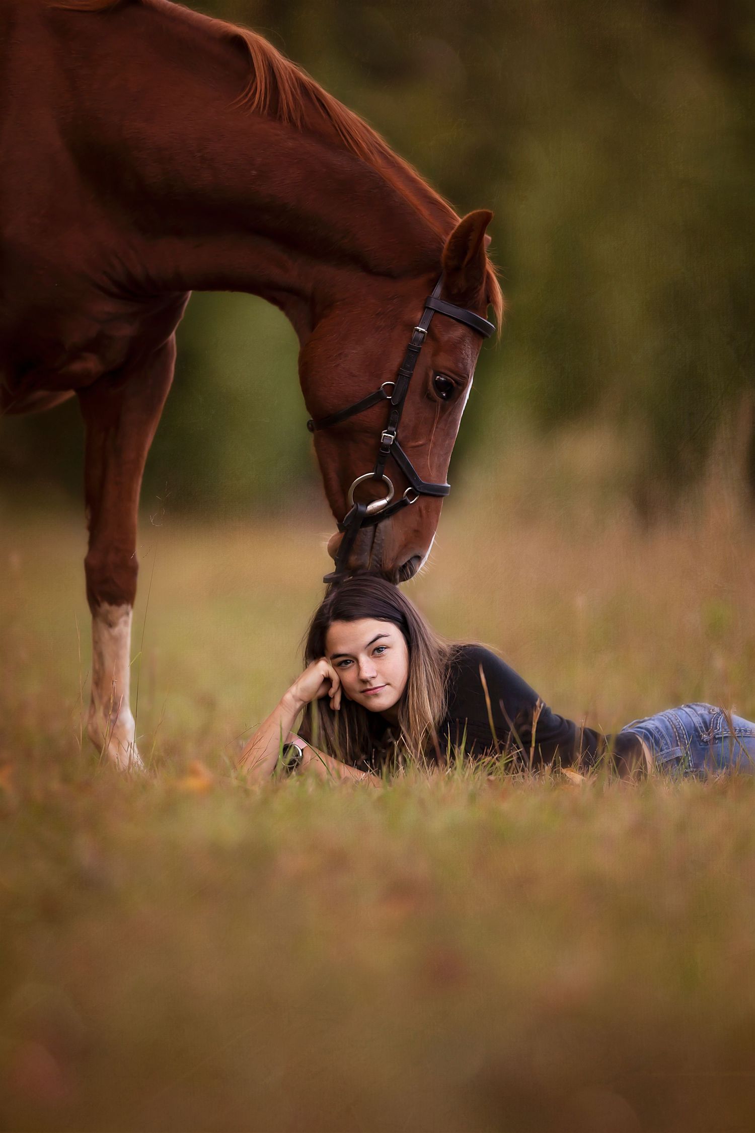 A chestnut horse grazes in a sunlit meadow while someone lies peacefully in the grass below.
