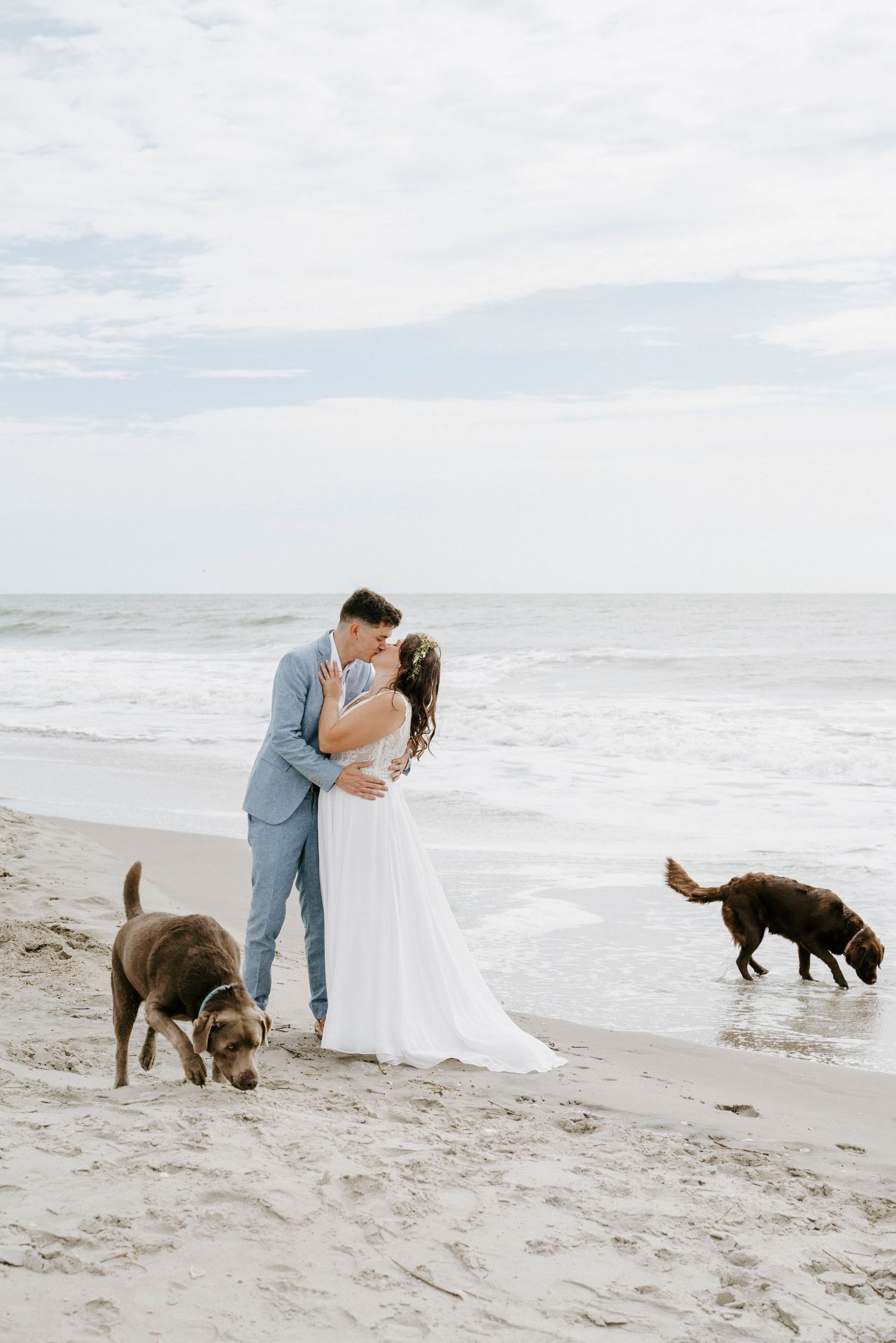 A couple shares a romantic moment on the beach while brown dogs play in the sand nearby.