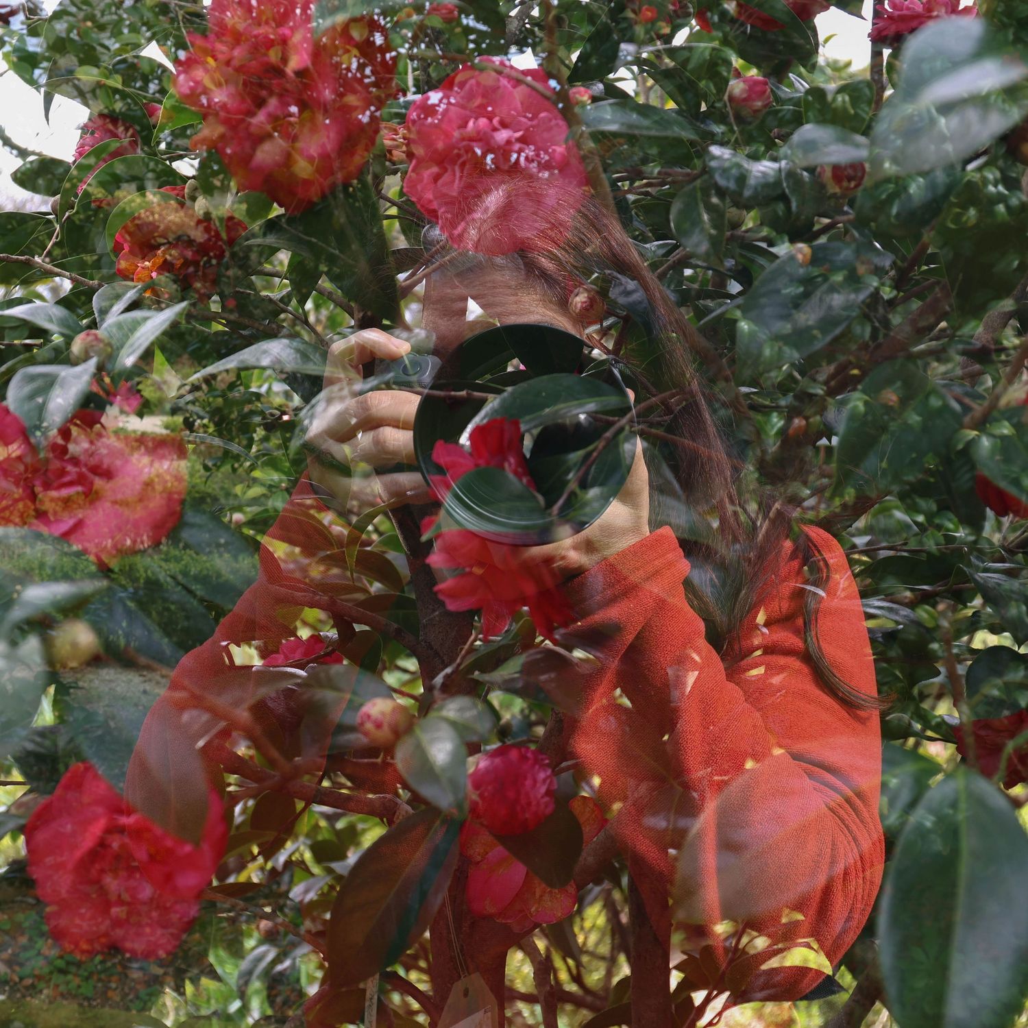 Photografer picture