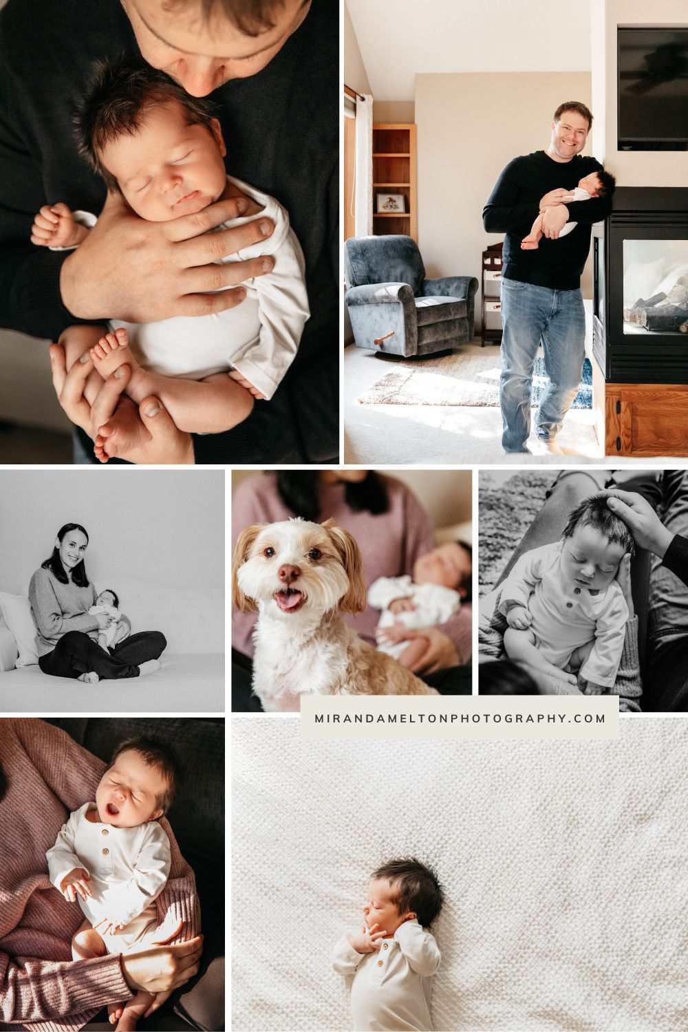 Collage of newborn photos from in-home lifestyle newborn photos in New Prague, MN