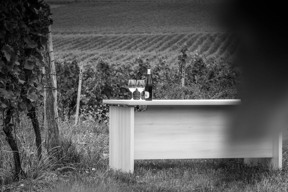 fotografie michal schneider foto photo photography cena produkt brand servis identita víno vinařství lenza