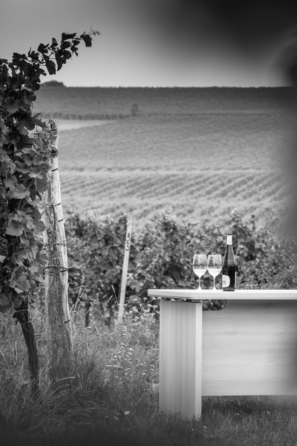 fotografie michal schneider foto photo photography cena produkt brand servis identita víno vinařství