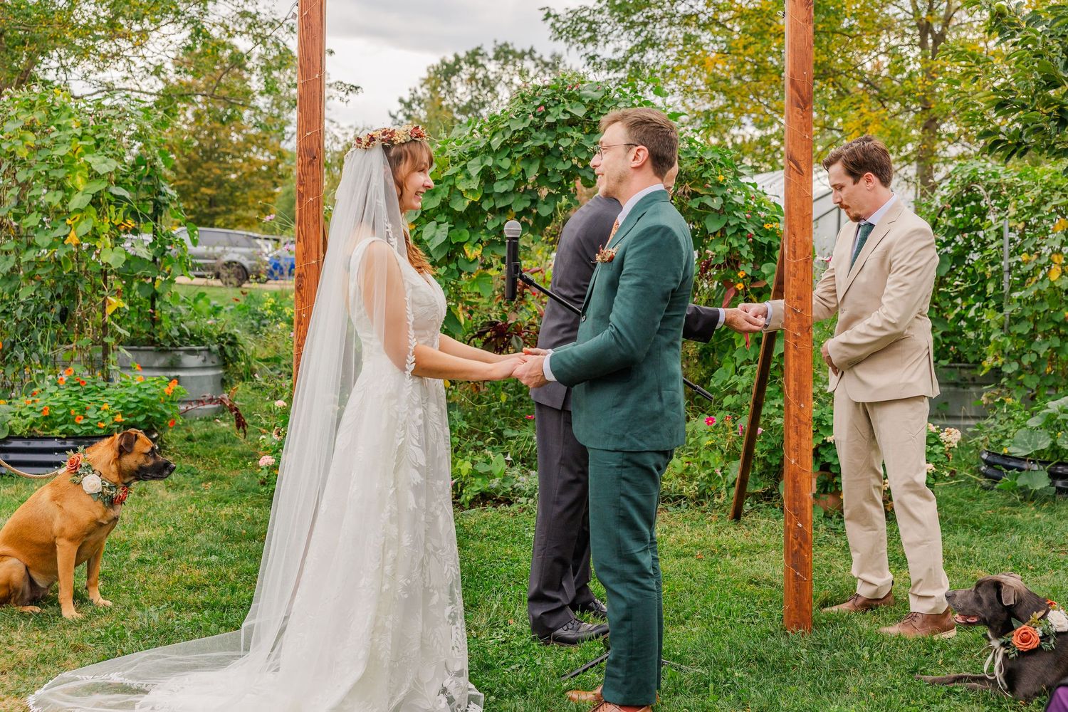 Wedding ceremony takes place under wooden arch in an apple orchard with a golden retriever watching nearby.