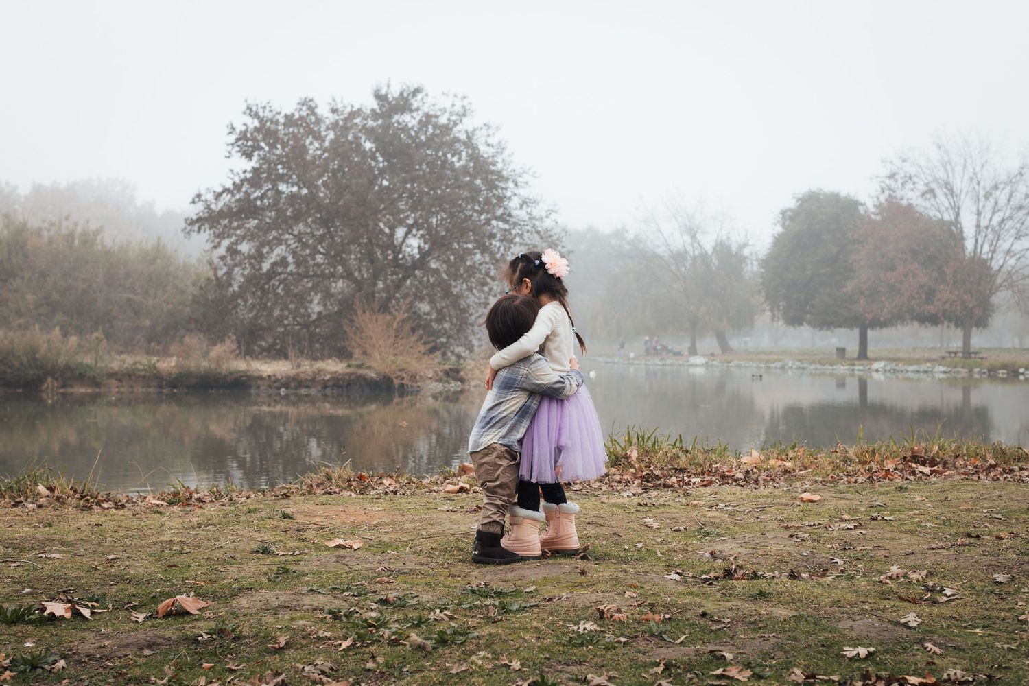 A sequence of misty autumn landscapes showing fallen leaves and foggy weather conditions in a park setting.