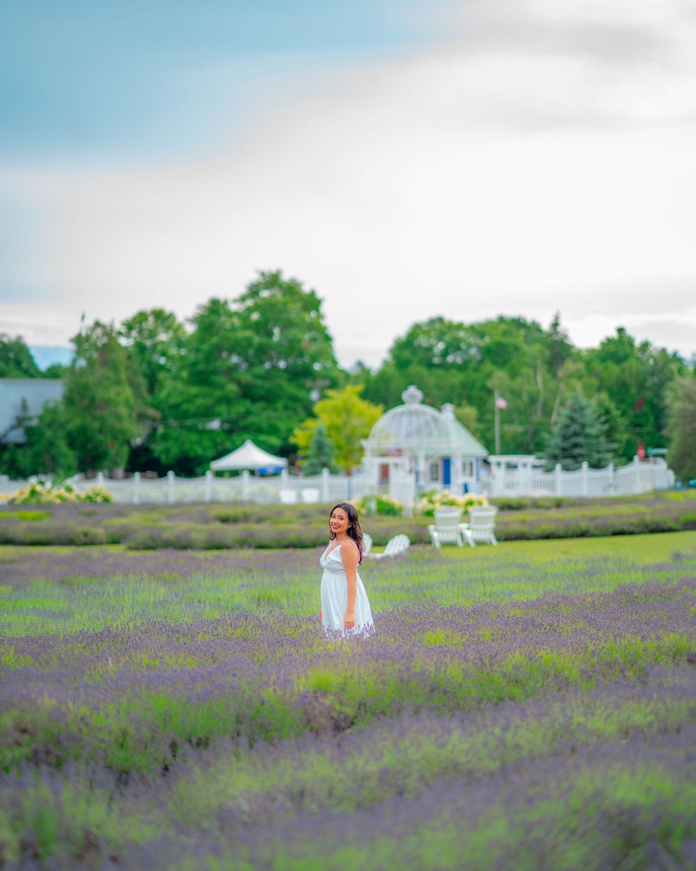 Senior photos at Washington Island by Green Bay Photographer.  Lavender Field photos.