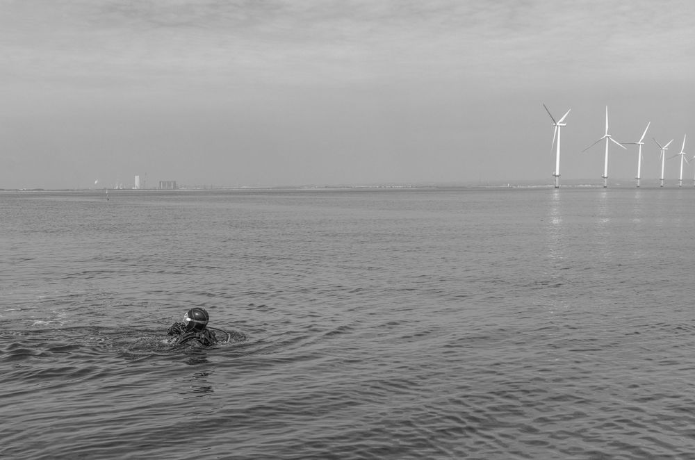 A swimmer in dark waters with offshore wind turbines visible on the horizon in black and white.