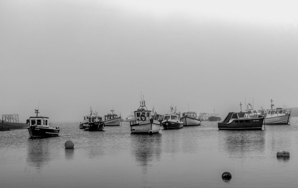 Black and white photograph of fishing boats lined up in foggy harbor with buoys dotting the calm water.